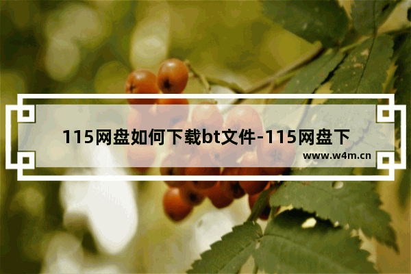 115网盘如何下载bt文件-115网盘下载bt文件的方法