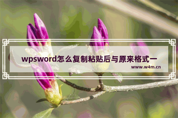 wpsword怎么复制粘贴后与原来格式一样-wps word复制一页一模一样的文字到新的页面的方法