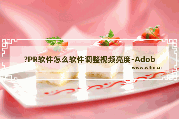 ?PR软件怎么软件调整视频亮度-Adobe premiere调整视频亮度的方法教程