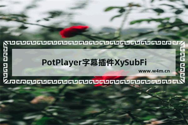 PotPlayer字幕插件XySubFilter如何安装激活-PotPlayer字幕插件XySubFilter安装激活的方法