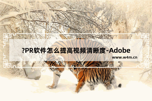 ?PR软件怎么提高视频清晰度-Adobe premiere提高视频清晰度的方法教程