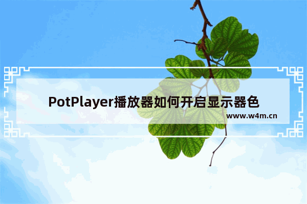 PotPlayer播放器如何开启显示器色域校正ICC-PotPlayer播放器开启显示器色域校正ICC的方法