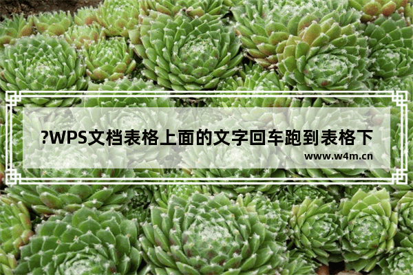 ?WPS文档表格上面的文字回车跑到表格下面怎么办-WPS解决表格上面文字回车跑到下面的方法