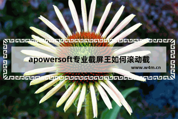 apowersoft专业截屏王如何滚动截屏-apowersoft专业截屏王滚动窗口截长图的方法