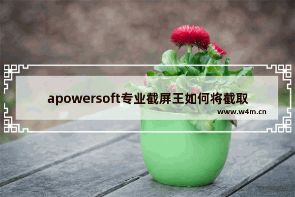 apowersoft专业截屏王如何将截取图片的格式更改为jpg导出-apowersoft专业截屏王导出jpg图片的方法