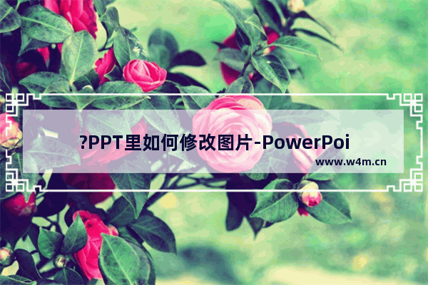 ?PPT里如何修改图片-PowerPoint演示文稿中修改图片的方法教程