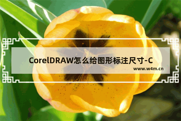 CorelDRAW怎么给图形标注尺寸-CorelDRAW2019给图形标注尺寸的方法