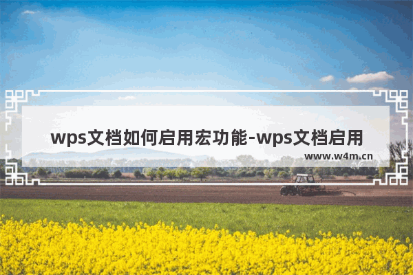 wps文档如何启用宏功能-wps文档启用宏功能进行创建的方法