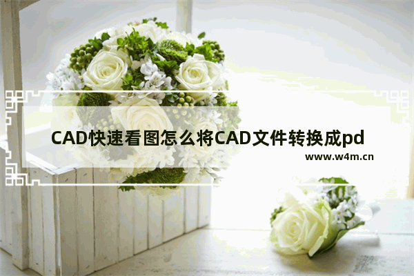 CAD快速看图怎么将CAD文件转换成pdf格式-CAD快速看图将CAD文件转换成pdf格式的方法