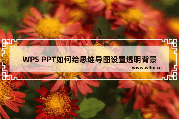 WPS PPT如何给思维导图设置透明背景-WPS PPT给思维导图设置透明背景的方法