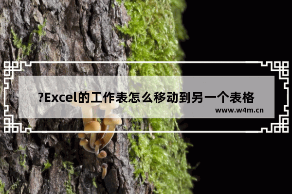 ?Excel的工作表怎么移动到另一个表格中-Excel表格移动工作表的方法教程