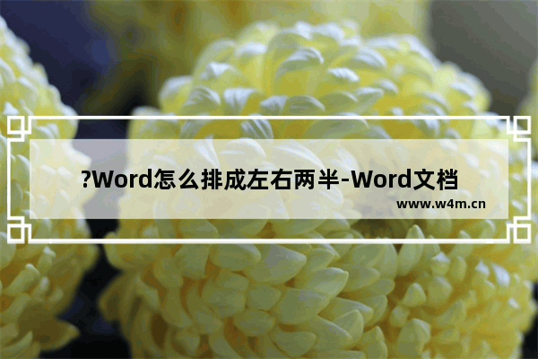 ?Word怎么排成左右两半-Word文档排成左右两半的方法教程