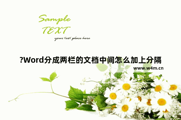 ?Word分成两栏的文档中间怎么加上分隔线-Word文档为分栏添加分隔线的方法教程