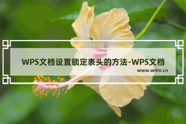 WPS文档设置锁定表头的方法-WPS文档如何将表格的表头进行固定