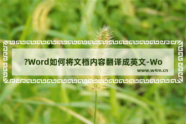 ?Word如何将文档内容翻译成英文-Word文档中进行翻译的方法教程