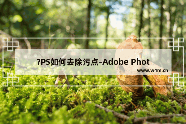 ?PS如何去除污点-Adobe Photoshop去除图片污点的方法教程