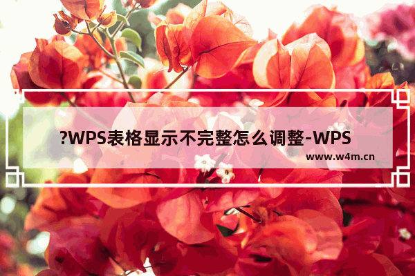 ?WPS表格显示不完整怎么调整-WPS Excel电脑版解决表格显示不完整的方法教程