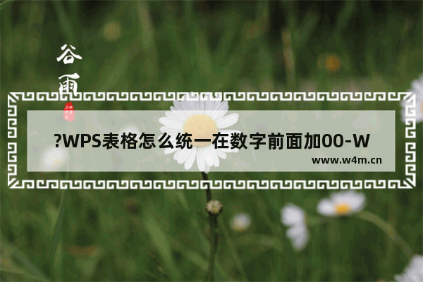 ?WPS表格怎么统一在数字前面加00-WPS Excel电脑版统一在数字签名加00的方法教程