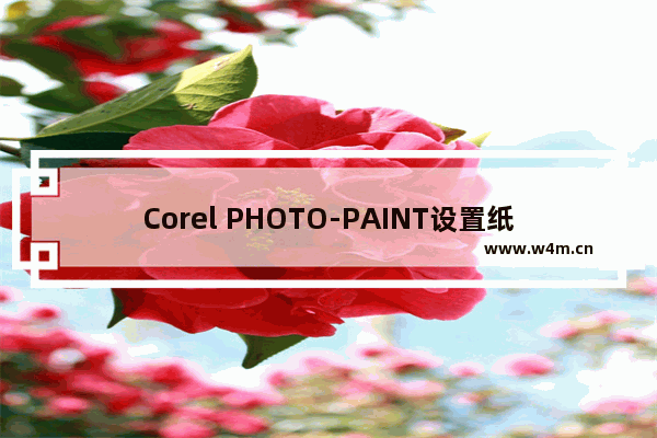 Corel PHOTO-PAINT设置纸张大小的方法-Corel PHOTO-PAINT怎么设置纸张大小