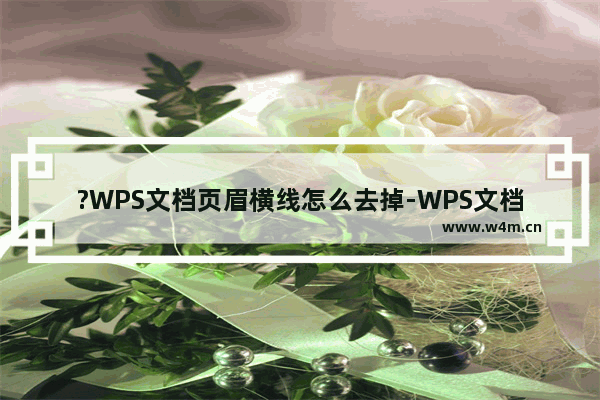 ?WPS文档页眉横线怎么去掉-WPS文档电脑版去掉页眉横线的方法教程