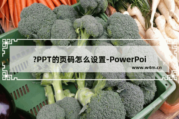 ?PPT的页码怎么设置-PowerPoint演示文稿设置页码的方法教程