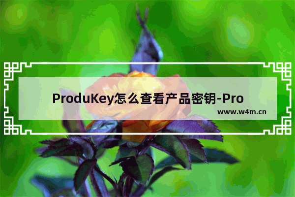 ProduKey怎么查看产品密钥-ProduKey的使用方法