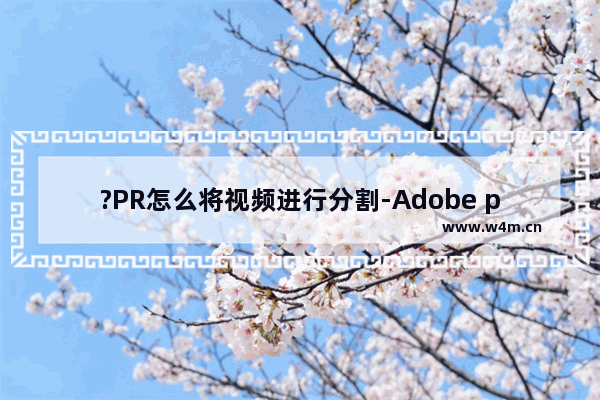 ?PR怎么将视频进行分割-Adobe premiere分割视频的方法教程