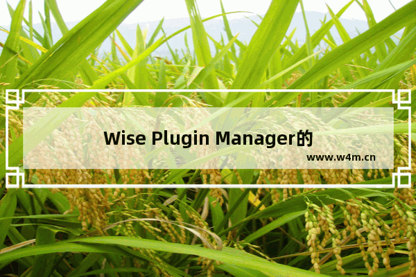 Wise Plugin Manager的使用方法-Wise Plugin Manager怎么使用