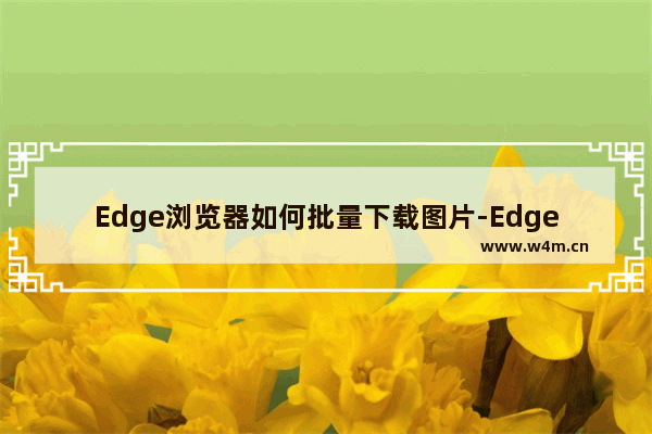 Edge浏览器如何批量下载图片-Edge浏览器批量下载高清图片的方法