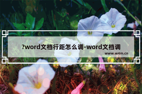 ?word文档行距怎么调-word文档调整行间距的方法教程