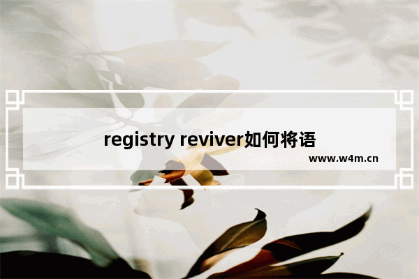 registry reviver如何将语言设置为简体中文-registry reviver将语言设置为简体中文的方法