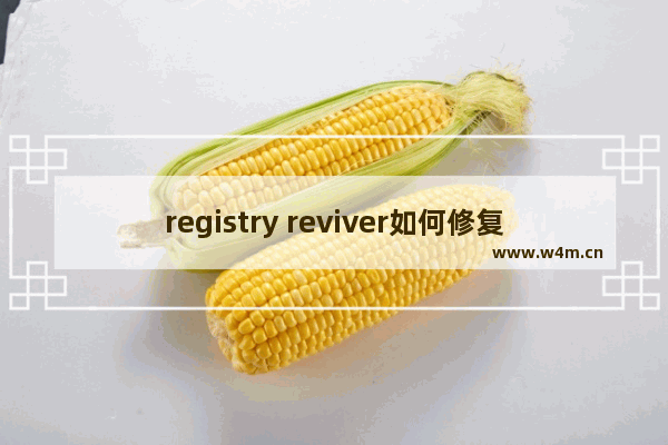 registry reviver如何修复注册表-registry reviver修复注册表的方法