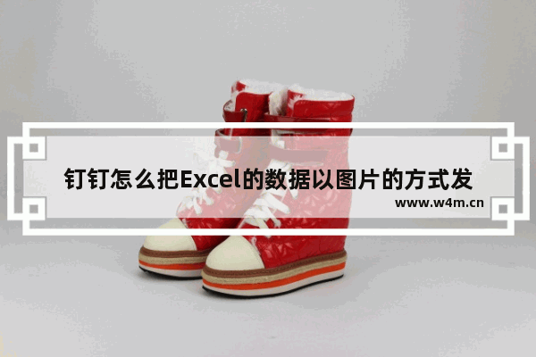 钉钉怎么把Excel的数据以图片的方式发送-电脑版钉钉把Excel的数据以图片的方式发送的方法