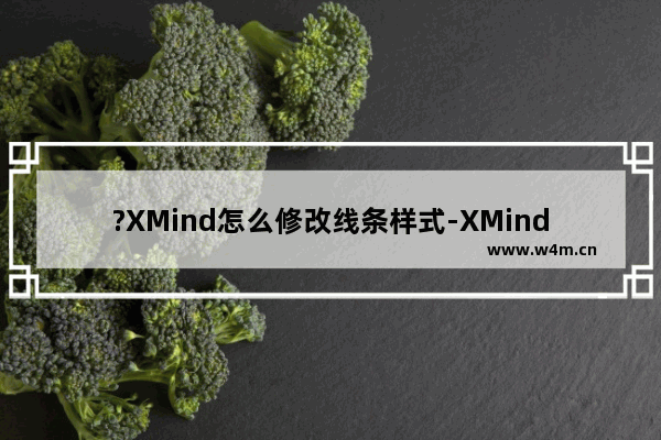 ?XMind怎么修改线条样式-XMind电脑版线条更改样式的方法教程