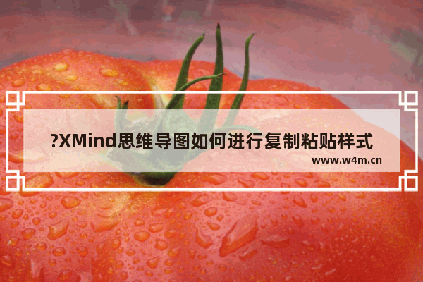 ?XMind思维导图如何进行复制粘贴样式的操作-XMind电脑版进行复制粘贴样式的方法教程