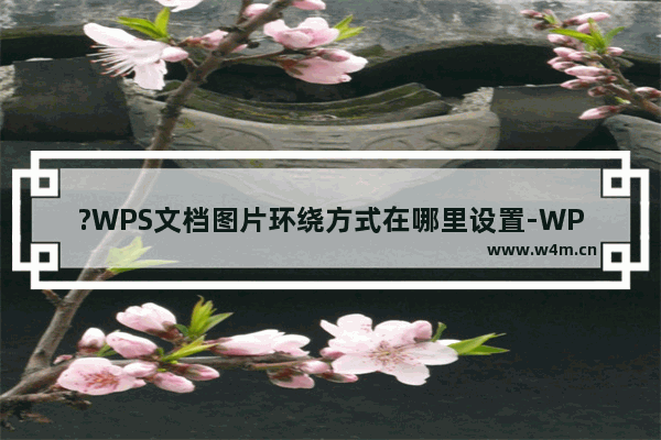 ?WPS文档图片环绕方式在哪里设置-WPS文档电脑版设置图片环绕方式的方法教程