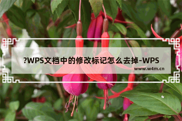 ?WPS文档中的修改标记怎么去掉-WPS文档电脑版去掉修改标记的方法教程