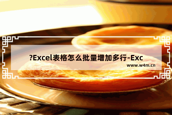 ?Excel表格怎么批量增加多行-Excel表格批量增加多行的方法教程