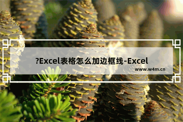 ?Excel表格怎么加边框线-Excel表格加边框线的方法教程