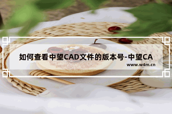 如何查看中望CAD文件的版本号-中望CAD2023查看版本号的方法