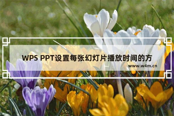 WPS PPT设置每张幻灯片播放时间的方法-WPS PPT怎么设置每张幻灯片的播放时间