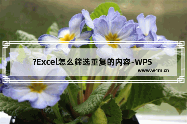 ?Excel怎么筛选重复的内容-WPS Excel筛选重复内容的方法教程