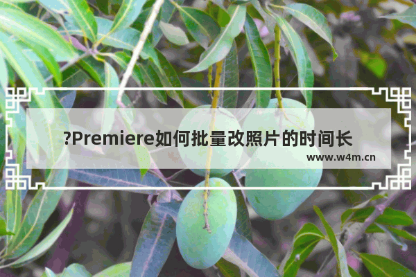 ?Premiere如何批量改照片的时间长度-Adobe premiere批量修改图片长度的方法教程