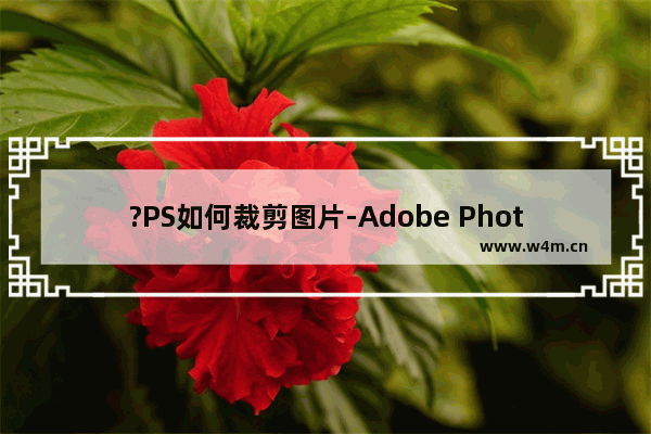 ?PS如何裁剪图片-Adobe Photoshop裁剪图片的方法教程