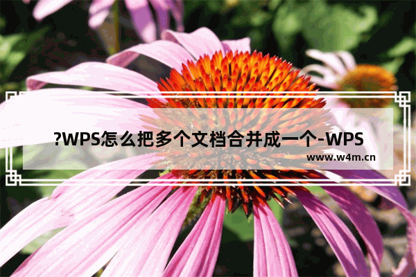 ?WPS怎么把多个文档合并成一个-WPS文档电脑版合并多个文档的方法教程