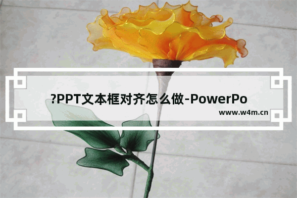 ?PPT文本框对齐怎么做-PowerPoint演示文稿对齐文本框的方法教程