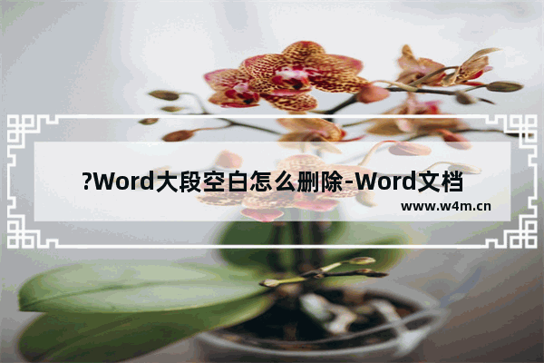 ?Word大段空白怎么删除-Word文档删除大段空白的方法教程