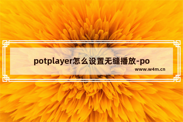 potplayer怎么设置无缝播放-potplayer设置无缝播放的方法