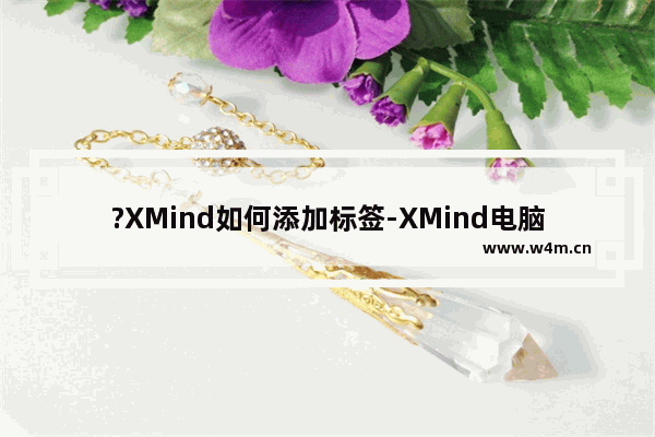 ?XMind如何添加标签-XMind电脑版添加标签的方法教程