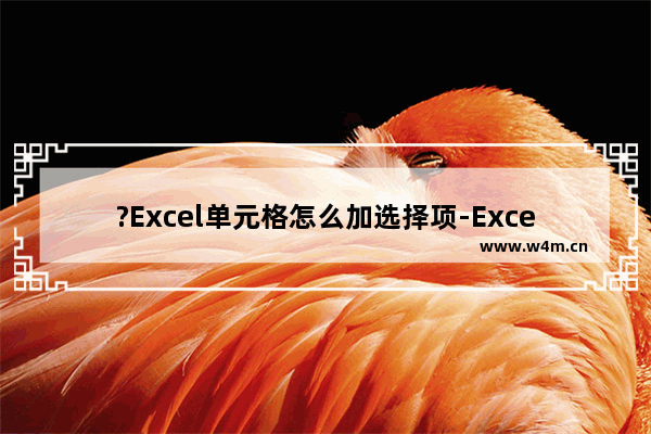 ?Excel单元格怎么加选择项-Excel表格设置选择项的方法教程